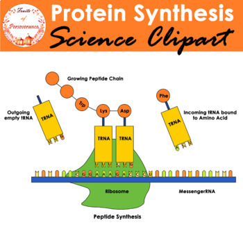 synthesis clipart