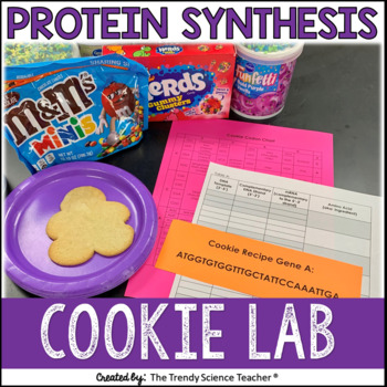 Preview of Protein Synthesis Cookie Lab
