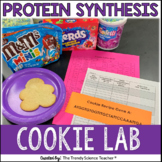 Protein Synthesis Cookie Lab