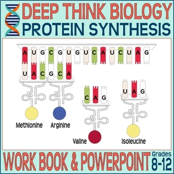 Preview of Protein Synthesis - Deep Think Biology Lesson 6