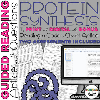 Preview of Protein Synthesis Guided Reading Activity Article Worksheets and Assessments