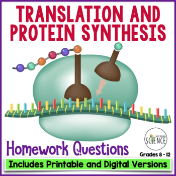 Preview of Translation and Protein Synthesis Homework