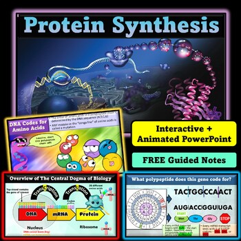 Protein Synthesis Interactive Powerpoint Teaching Resources | TPT