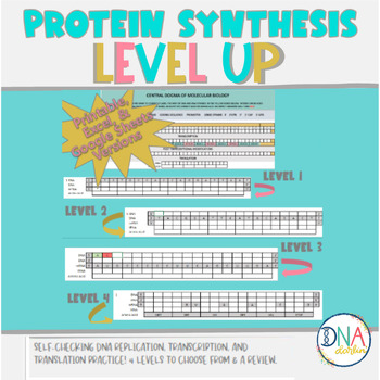 Preview of Protein Synthesis LEVEL UP