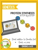 Step by Step Protein Synthesis