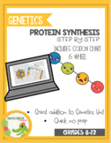 Protein Synthesis Mini Bundle