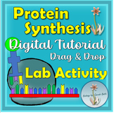 Protein Synthesis Digital Lab Activity - Transcription and