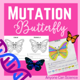 Protein Synthesis Mutation: Butterfly