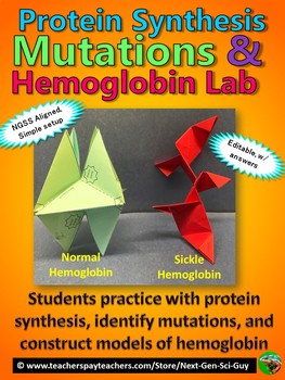 Preview of Protein Synthesis, Mutations & Modeling Hemoglobin Lab: NGSS - Distance Learning