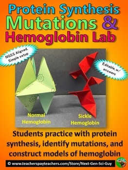 Protein Folding Worksheets Teaching Resources Tpt