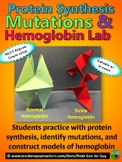 Protein Synthesis, Mutations & Modeling Hemoglobin Lab: NG