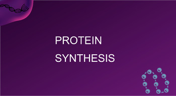 Preview of Protein Synthesis Notes - Slides
