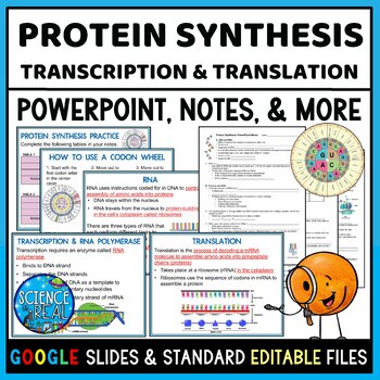 Preview of Protein Synthesis PowerPoint, Notes, Questions, and Kahoot