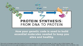 Preview of Protein Synthesis PowerPoint Presentation