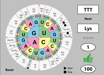 Protein Synthesis Practice App T Squared Teachers Pay Teachers