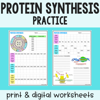 Protein Synthesis Practice Transcription And Translation Pdf Digital