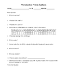 Protein Synthesis Practice Worksheet