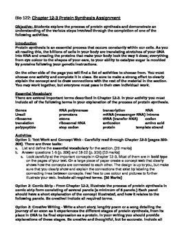 Protein Synthesis Project By Smith Science Classroom Tpt