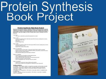 Preview of Protein Synthesis Project