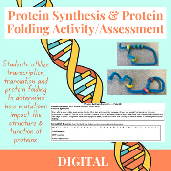 Protein Folding Worksheets Teaching Resources Tpt