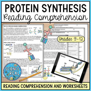 Preview of Protein Synthesis Reading Comprehension and Worksheets