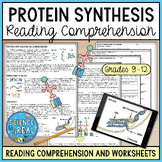 Protein Synthesis Reading Comprehension and Worksheets
