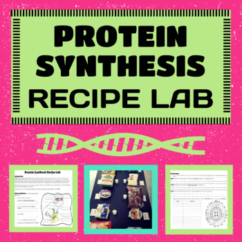 Preview of Protein Synthesis Recipe Lab