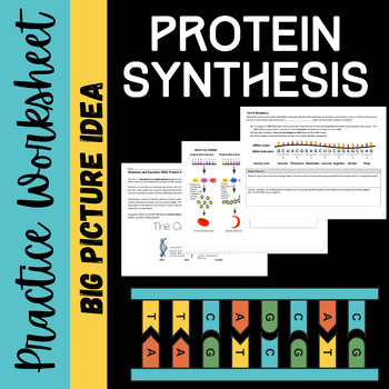 Biology Transcription And Translation Practice Worksheet