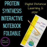 Protein Synthesis STAAR INB Foldable - 2 Versions (Digital