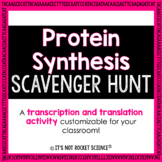 Protein Synthesis Scavenger Hunt Activity