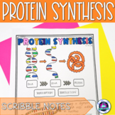Protein Synthesis Scribble Notes