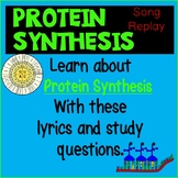 Protein Synthesis Activity | Interactive Questions |Biolog
