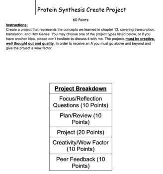 Preview of Protein Synthesis Student Choice Project