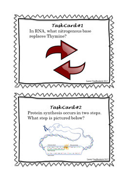 Protein Synthesis Task Cards by Mrs V Biology | TpT