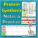 Protein Synthesis PowerPoint Guided Notes Practice Using a