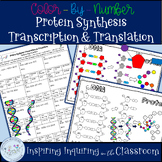 Protein Synthesis Transcription & Translation Colour-By-Nu