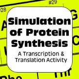 Protein Synthesis Transcription & Translation Dry Lab Activity