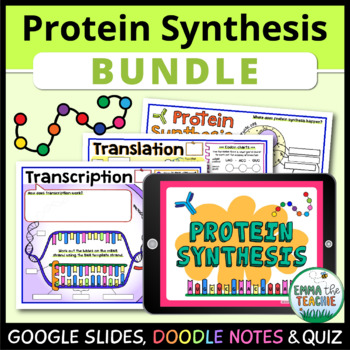 Preview of Protein Synthesis Lesson - Digital Activities, Doodle Notes Review, and Quiz