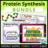 Protein Synthesis Lesson - Digital Activities, Doodle Note