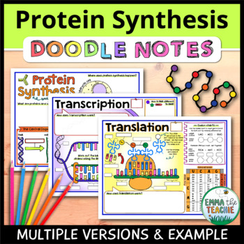 Preview of Protein Synthesis Doodle Notes -  Transcription & Translation - Review Activity