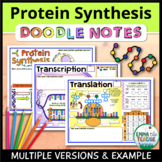 Protein Synthesis Doodle Notes -  Transcription & Translat