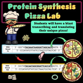 Preview of Protein Synthesis (Transcription and Translation) Pizza Lab Activity - NEW!