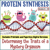 Protein Synthesis Translation Activity | Printable or Digital