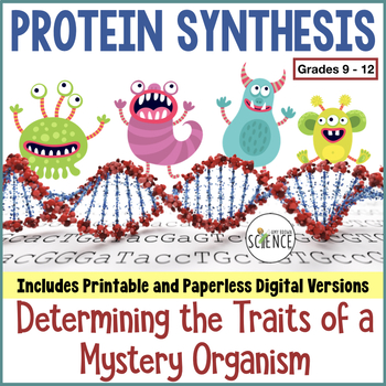 Preview of Protein Synthesis Translation Activity