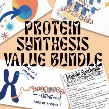 Preview of Protein Synthesis Value Bundle