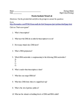 Protein Synthesis Lab Worksheets Teaching Resources Tpt