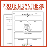 Protein Synthesis Vocabulary Graphic Organizer | Biology