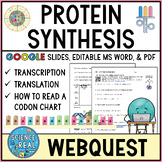 Protein Synthesis Webquest