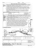 Protein Synthesis and Genetic Code Worksheet