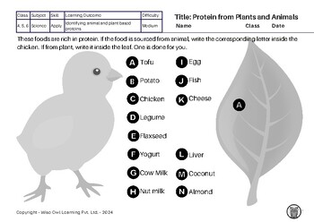 Preview of Protein from Plants and Animals